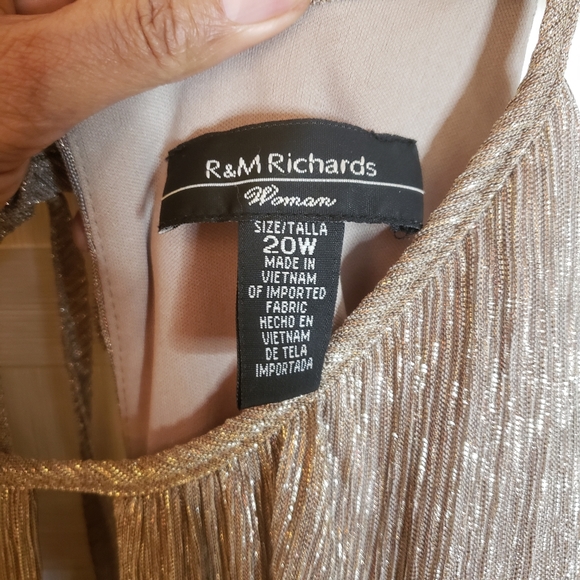 R&M Richard Shimmering Maxi gown. Sz 20W - Picture 4 of 4